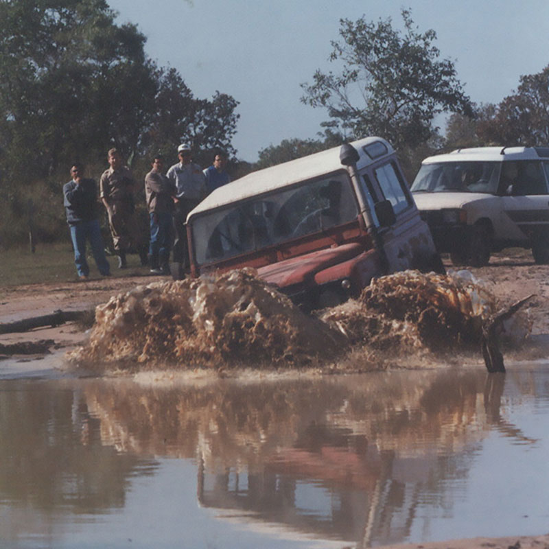Defenders no Pantanal