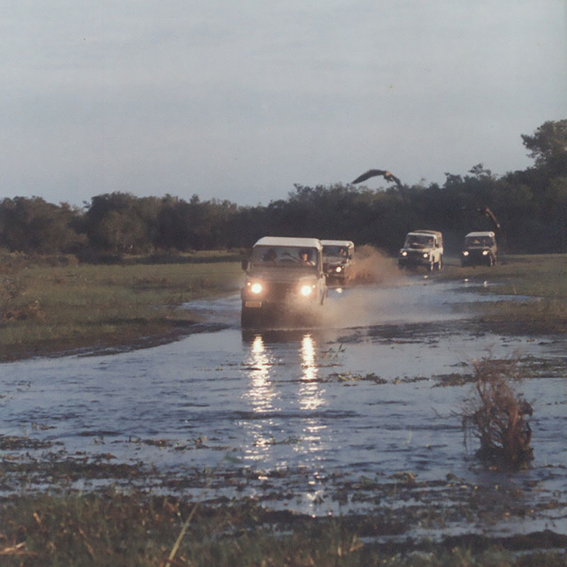 O mesmo evento no Pantanal